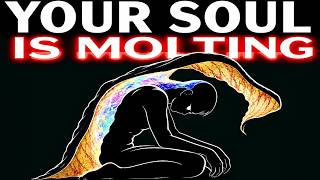 YOUR EXHAUSTION IS YOUR SOUL MOLTING