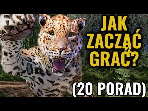 20 porad dla początkujących w Green Hell