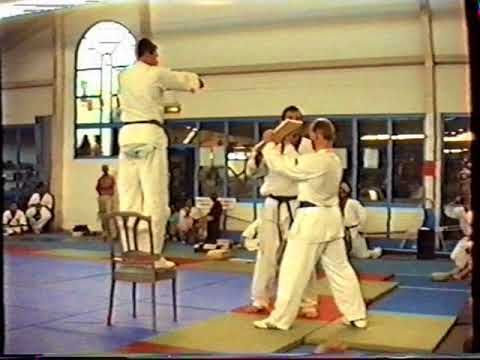 Ohdokwan Dülken e V Pfingstlehrgang 92 Budo Show Henk Meijer