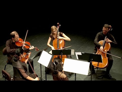 Schubert Quintet op. 163 C-Major - Artemis Ensemble/Mavi Pedrero