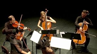 Schubert Quintet op. 163 C-Major - Artemis Ensemble/Mavi Pedrero
