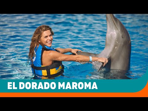 Videos de El Dorado Maroma A Spa Resort 5★ en Playa del Carmen, MéxicoVerPrecios18CerrarConsulta por Whatsapp 🇦🇷BookingTripadvisorExpediaAgodaTravelocityOrbitzPricelineTripSkyscannerDespegarKayakHotelesBestdayDestiniaTrivagoLastminuteHotwireTui