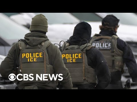 Less than 14% arrested by ICE in 2025 had violent criminal records, DHS document shows