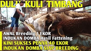 Download lagu Dulu Kuli Timbang Kambing Kini Sukses Ternak Domba Jadi Inspirasi Pemuda | Cerita Peternak Sukses mp3
