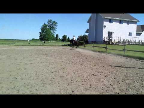 Fiador's Forté - trot long rein