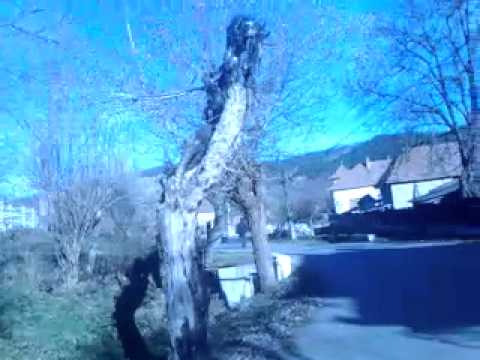 O mica plimbare prin Hapria