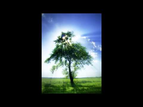 TM Juke - Lady Garden