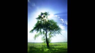 TM Juke - Lady Garden