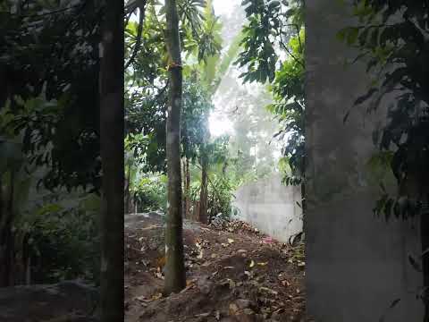fuerte viento en suchitepequez