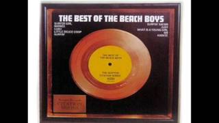 The Beach Boys - What Is A Young Girl Made Of?