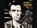 Peter Gabriel - Biko (HQ)