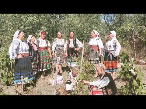 Grupul folcloric Grecesti-Cernatesti, Dolj - Lelita, Ioana (fragment muzical)