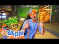 Blippi Visits A Science Museum Blippi Learn Colors And Science