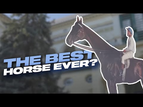 The Greatest Horse Ever? The Unbeatable Hungarian Mare: Kincsem