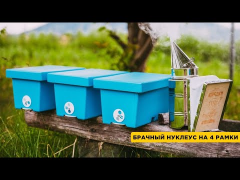 Миниатюра изображения товара Нуклеус Lyson На 4 рамки / W10860NRB (синий)