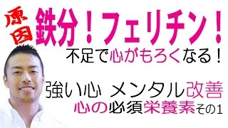 【フェリチン】で、メンタル回復！性格まで改善！心の必須栄養素ヘム鉄で人生が変わる