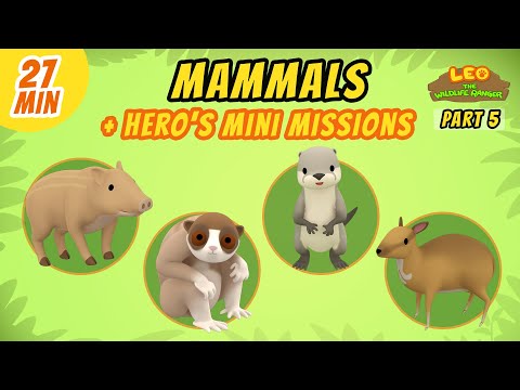 Witness21 Editor  2021 04 23