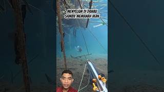 Download lagu Diving in a lake while spearfishing #fishing #spearfishinglife #fish #gopro #underwater #spearfish mp3