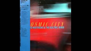 David Matthews & The Electric Birds  " I didn't mean to hurt you "