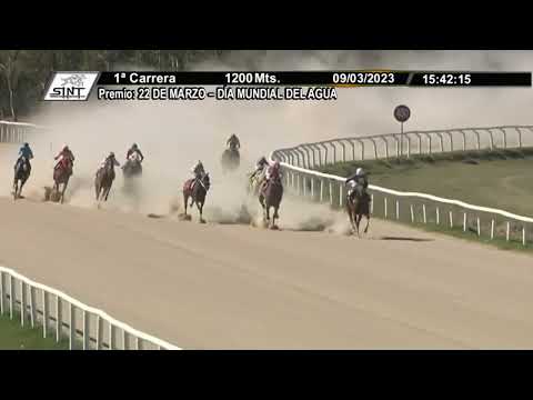 CARRERAS SINT FLORIDA  230309 c01 - 1° LAY SEDUCTORA