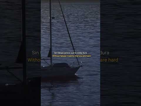 Standly ft. El Barto - Mi Gata (Lyrics) | "Toma tussi gasta la plata" | WhatsApp Status #migata