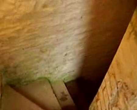 (Cover plus) We're all grown up- Hazel O'Connor