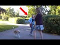 T Girl And A REAL Girl What Could Go Wrong Transvestite T Girl Transgender