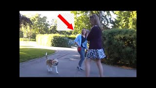T-Girl and a REAL Girl - what could go wrong (transvestite / t-girl / transgender)