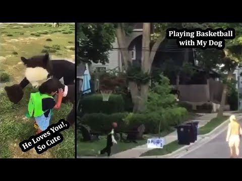 Videos That Makes Me Smile | Happy Moments | 10 Minute Dose | #5