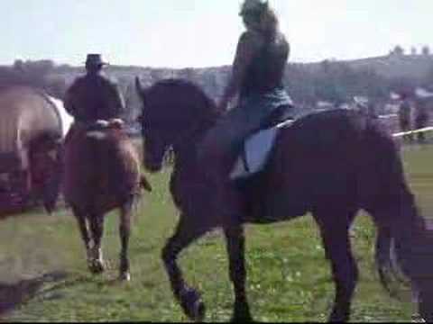 Formanský den Borová 2007