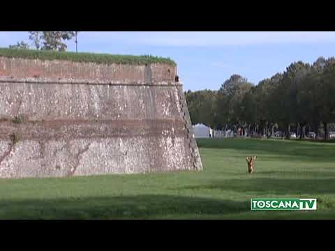 2018-10-04 LUCCA - PUZZI DI MORTO,AUTISTA BUS INSULTA STUDENTE SRI LANKA