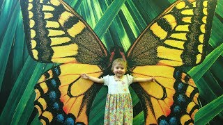 preview picture of video 'ПАРК БАБОЧЕК. ЕКАТЕРИНБУРГ - 2011. Butterfly Park. Ekaterinburg - 2011'
