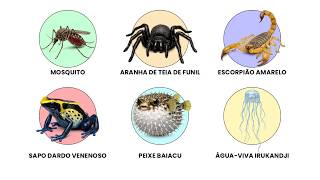 ANIMAIS MORTAIS E MINUSCULOS EXPLICADOS EM 05 MINUTOS