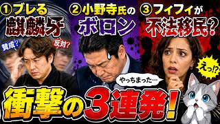 日本保守党界隈の別班・猫平がお届けします。
