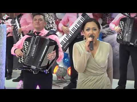 Petra Ivanovic Nisam od kamena