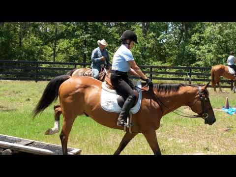 Lou's obstical course