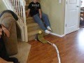 The Cat Rube Goldberg