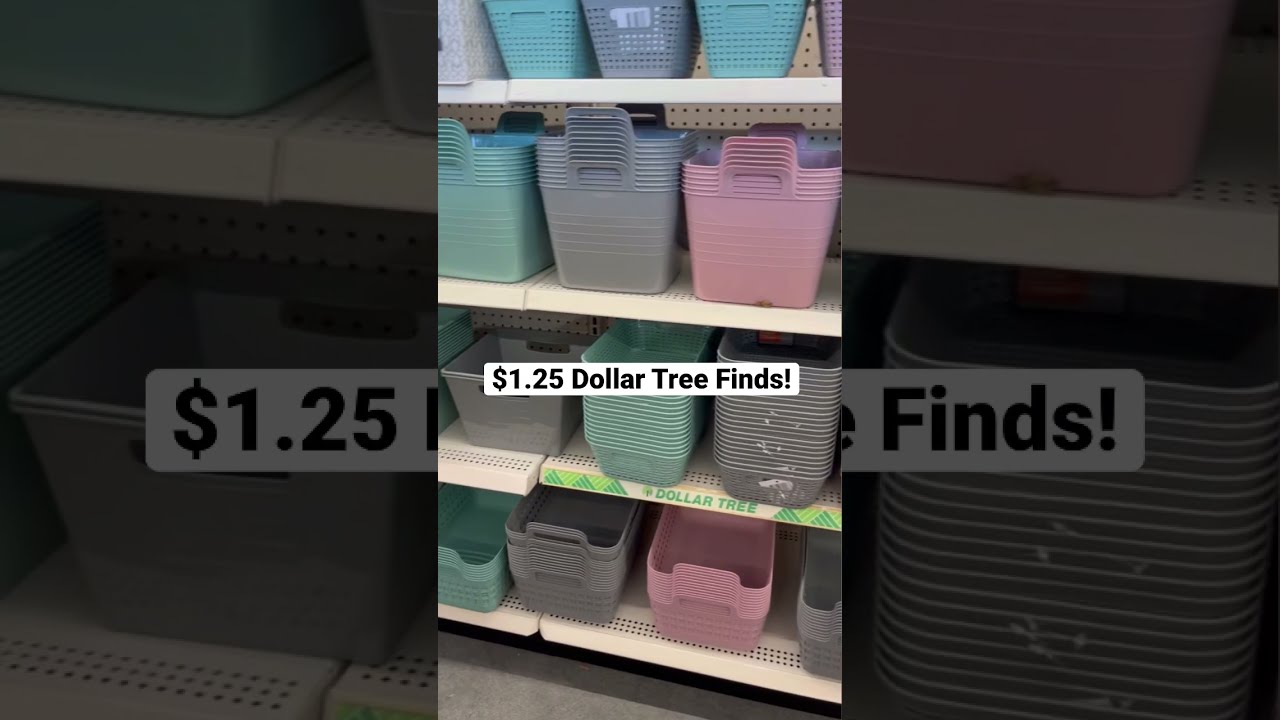 NEW Dollar Tree Organizing Scores!