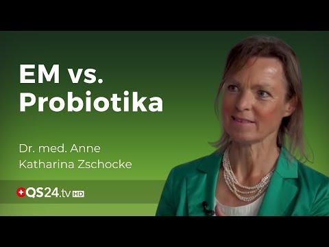 Are Effective Microorganisms Better Than Probiotics? | Dr. Anne Katharina Zschocke | QS24