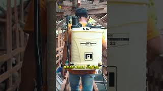 Download lagu 5 Hal penting memulai ternak domba & kambing #ternakkambing #strategybisnis #tipsbisnis mp3