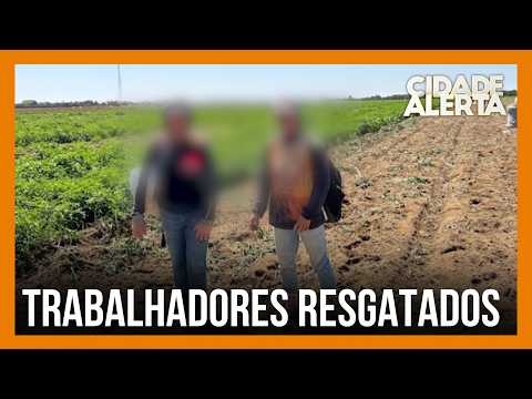 Trabalhadores que comiam no chão e faziam necessidades na plantação são resgatados em Estrela do Sul