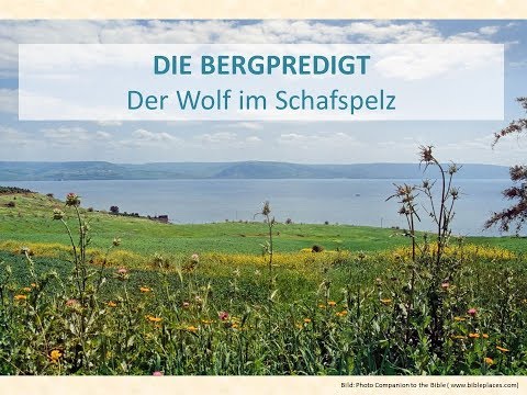 BERGPREDIGT 68  DER WOLF IM SCHAFSPELZ