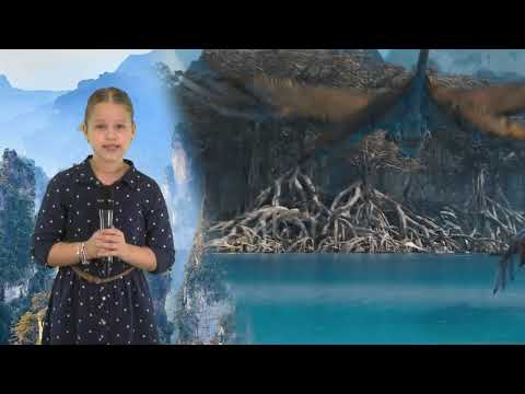 Avatar 2, dată de lansare - Sara Andreea Staicu