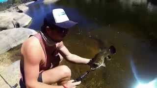 Gorge fishing for murray cod