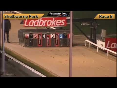 Golden Tiger - The 2021 Ladbrokes Easter Cup 550 Round 2