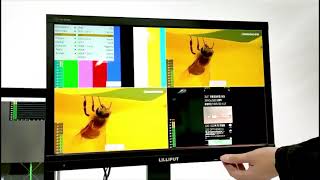 Video 1 for Lilliput PVM220S 21.5 inch PRO SDI Monitor