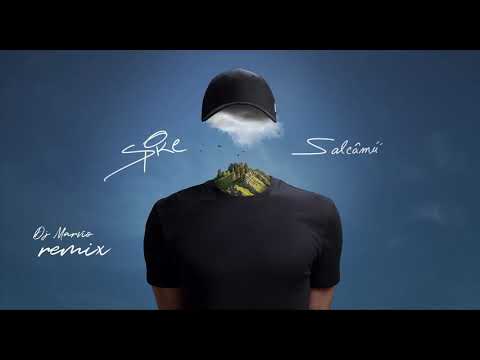 @SpikeOficial  - Salcâmii | DJ Marvio REMIX 🔥
