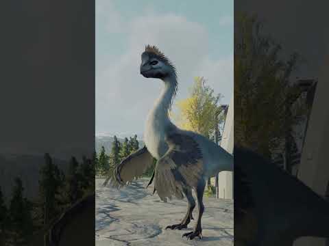 Gigantoraptor vs Concavenator. #dinosaur #jurassicpark #jurassicworld #concavenator #gigantoraptor