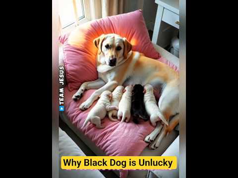 Why Jesus Turned Ronaldo into A Billionaire 😱😭 #jesus #ronaldo #kindness #faith #help #god #cat #dog