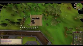 gilded platebody never lucky xC